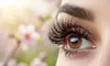 Get Classic Lash Extensions or Lash Extensions with Brow Shaping at Beauty Palace (Up To 66% Off)