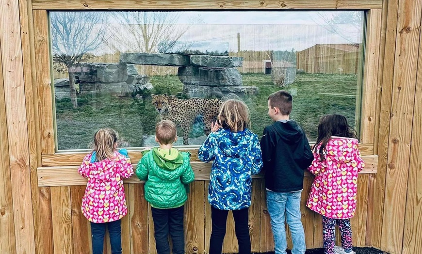 Image 4: Explore & Enjoy Interactive Animal Encounters at Animal Adventure Park