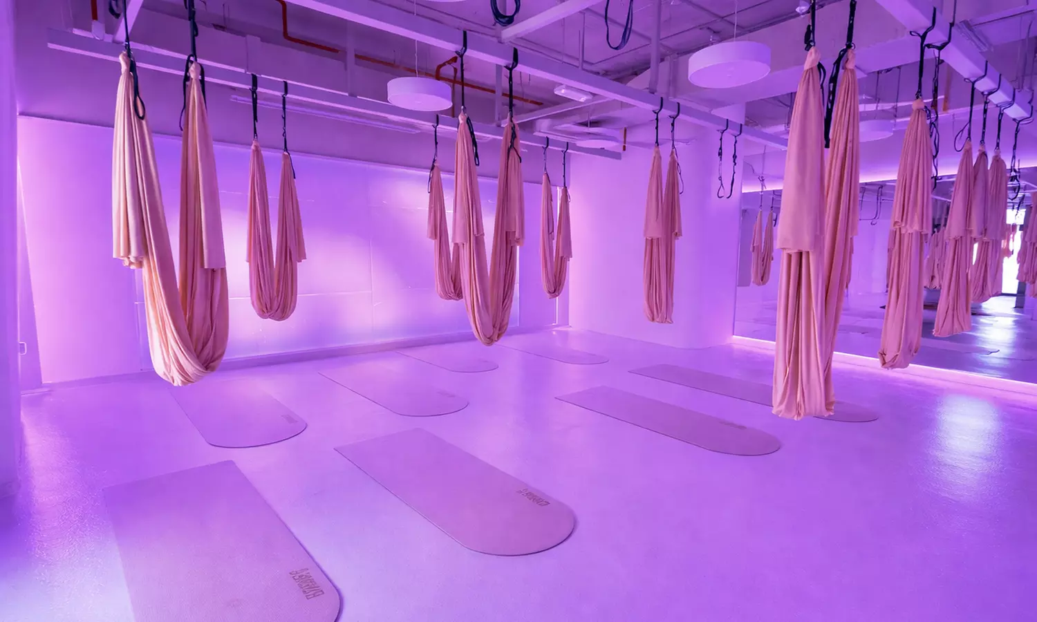 Enjoy One or Two Women-Only Yoga Sessions for Strength & Flexibility