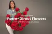 Rosaholics - Premium Rose Bouquets & Exotic Flower Arrangements Perfect for Any Occasion Up to 71% Off - Second Medium