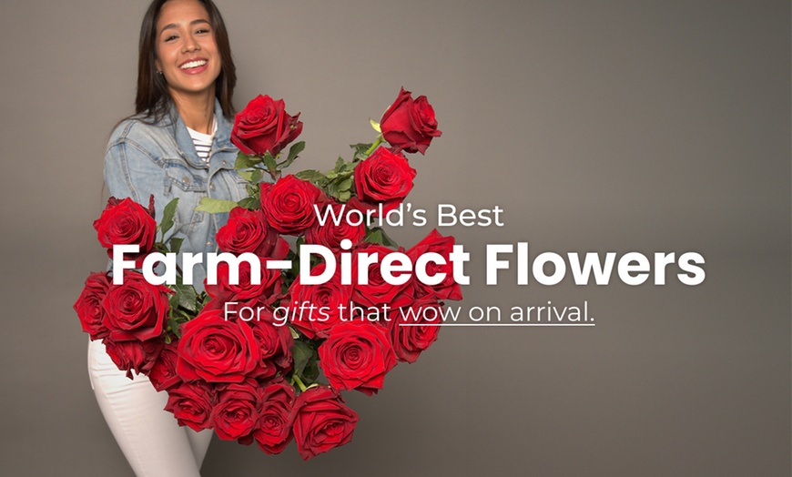Image 3: Rosaholics - Stunningly Unique Rose Bouquets & Exotic Flower Arrangements Up to 74% Off on Flower Delivery