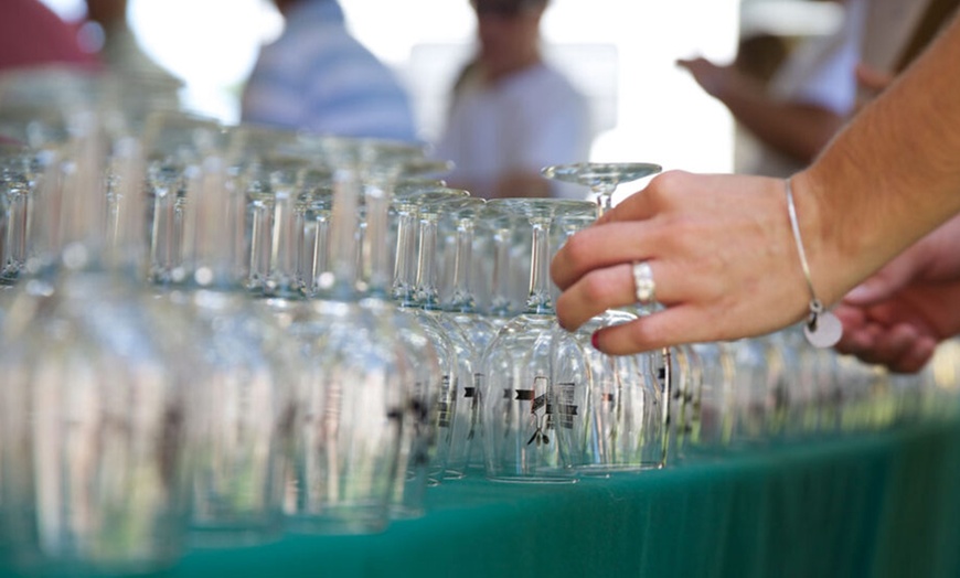 Image 3: Admission to the Hudson Valley Wine and Food Festival on 9/6 - 9/7 