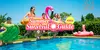 Free Summer Survival Guide: 6 Weeks of Fun Without the Freakouts