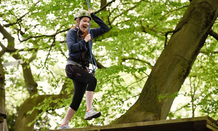 Image 5: High Ropes Experience