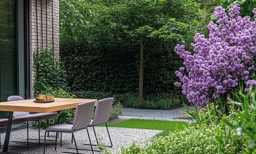 Image 2: 4 Pflanzen Edelflieder in der Sorte nach Wahl