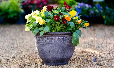 Groupon Unisex Grey Ornate Antique Stone Effect Planter Pot: Two