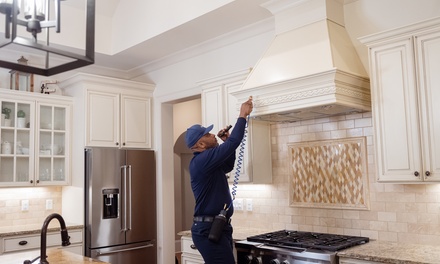 One Pest Control Treatment  - Rocket Pest Control
