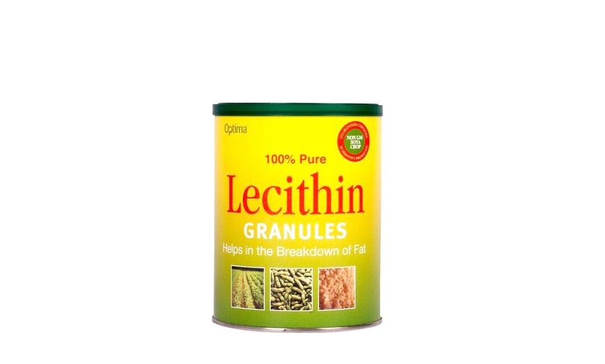 Image 3: Lecithin Granules 
