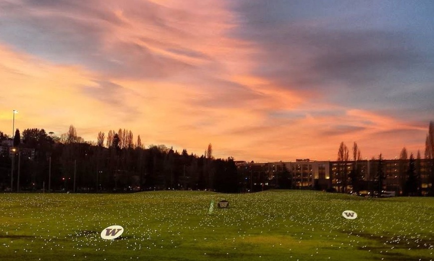 Image 1: Master the Green with One Hour Golf Lesson for One or Two People