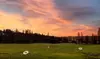 Elevate Your Game with One Hour Golf Lesson for One or Two People at Modern Golf Instruction (Up to 20%Off)