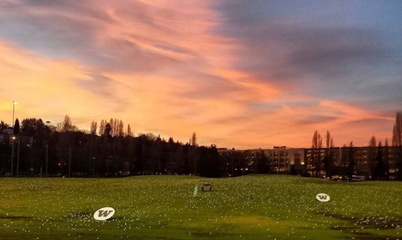 1 Hour Golf Lesson for 2 People - Modern Golf Instruction