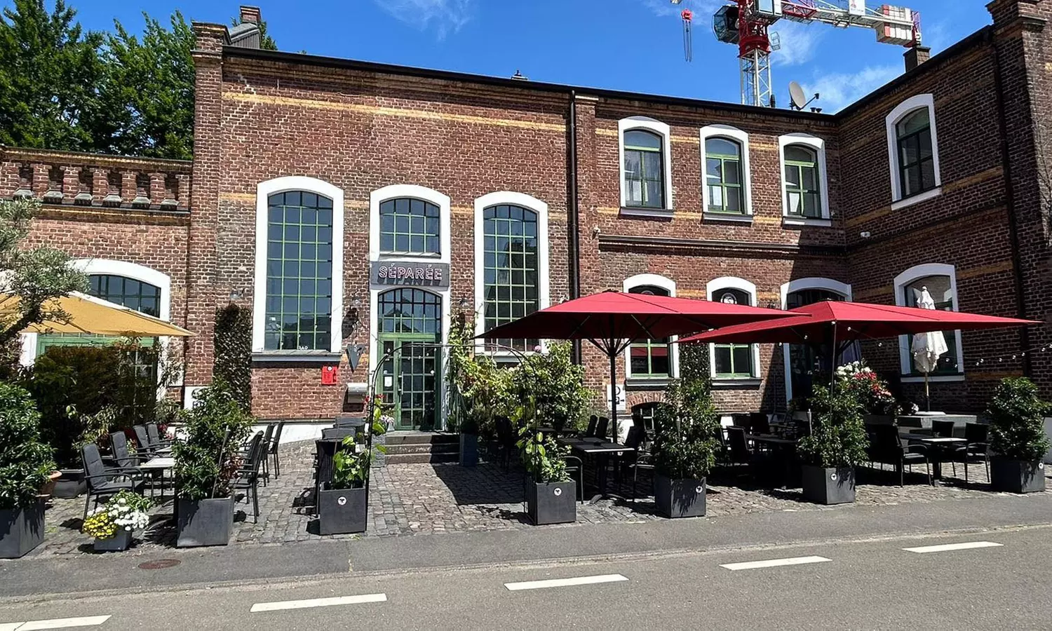 Flammkuchen Elsässer Art und Glas Wein oder Federweißer für 2-6 Pers.