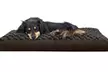 FurHaven Pet Ultra Plush Deluxe Pillow Dog Bed - Second Medium