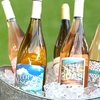 Image 2: Rosé Wine - 18-bottle Bestselling Rosé Collection from Swirl Wine Shop