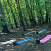 Image 1: Weekly Outdoor Yoga and Hike Classes for Women
