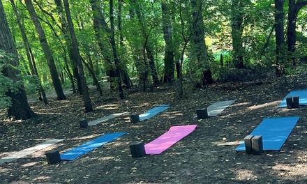 1 Month Weekly Classes - MAT Fitness