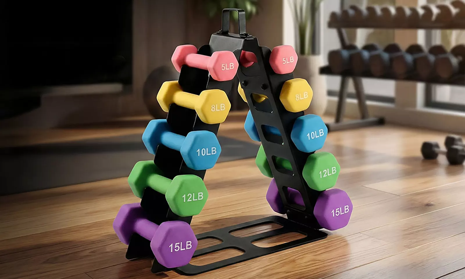 Centra A-Frame Dumbbell Storage Rack Stand