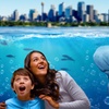 Image 5: Visit any 4 Top Attractions: Sea Life Sydney, Madame Tussauds & More