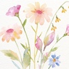 Image 2: Explore Adults Watercolour Botanicals in 4 Fun Lessons for One or Two
