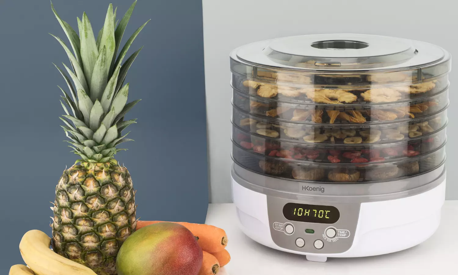 Déshydrateur alimentaire DSY700 de la marque H.Koenig - Primary Image