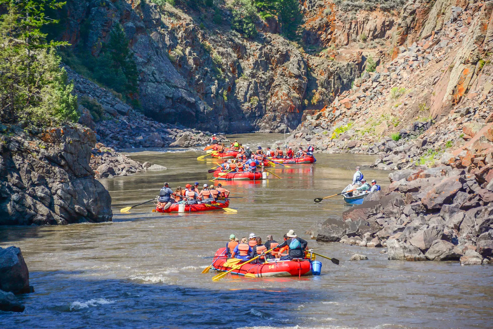 Half or Full-Day Rapids Trip for 1, 2, or 4 People