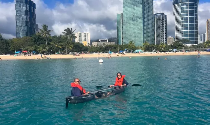 Explore Hawaii's Underwater World with Clear Kayak Rentals & Tours from Clear Kayak Adventures