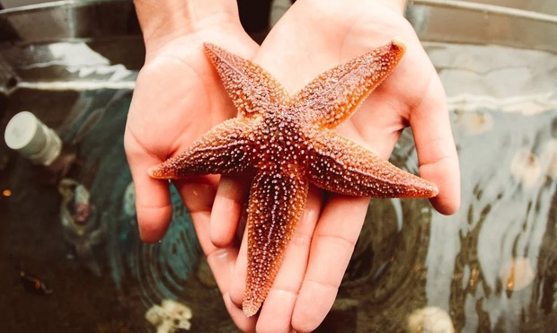 What to expect media