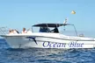 Excursión en barco de 2 horas con comida y bebida para 1 niño o 1 adulto con Ocean Blue Tenerife - Image 5