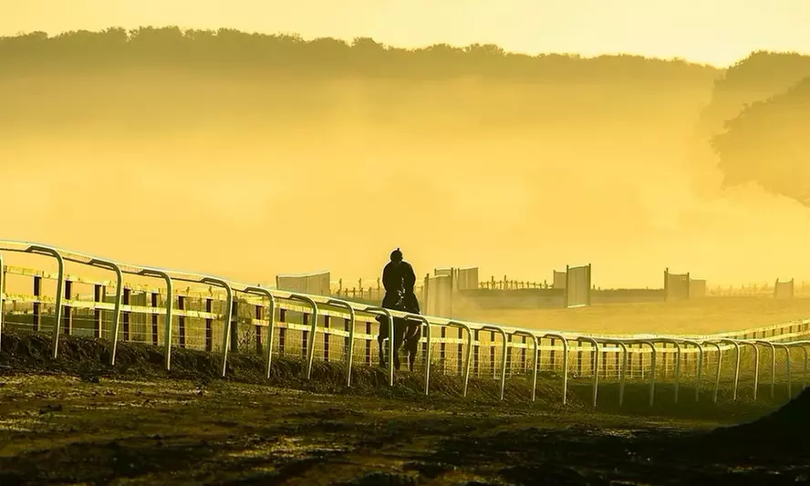 VIP Racehorse Ownership Experience; Exclusive Stable Visit, Racing Club Membership and chance to go racing as an owner - Image 2