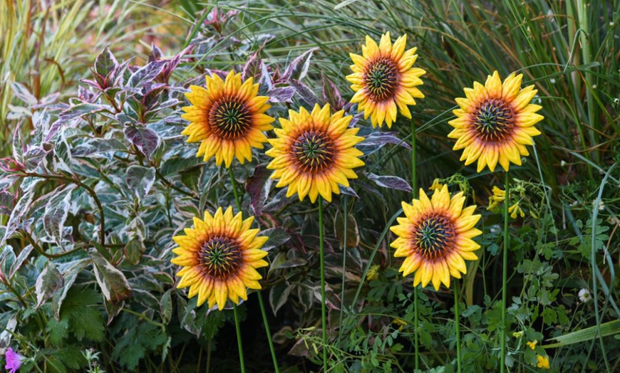 Image 16: 6 or 12 Pack of Metal Flower Stakes - Pansy / Sunflower / Daisy
