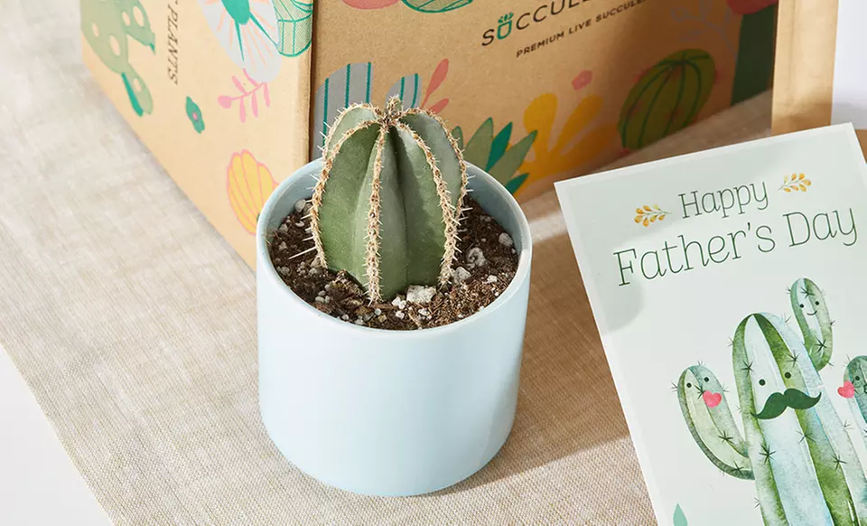 Unique Plant Gifts FTD.com Sustainable Succulents and Plants Lula’s Garden Collection Up to 50% Off