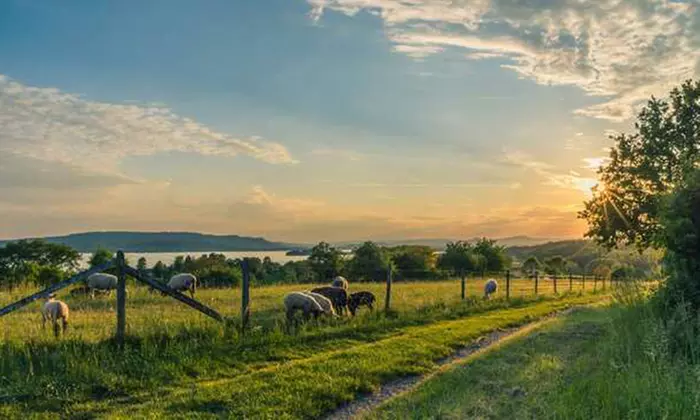 Escapada rural: caja regalo para 2 con hotel a elegir y desayuno
