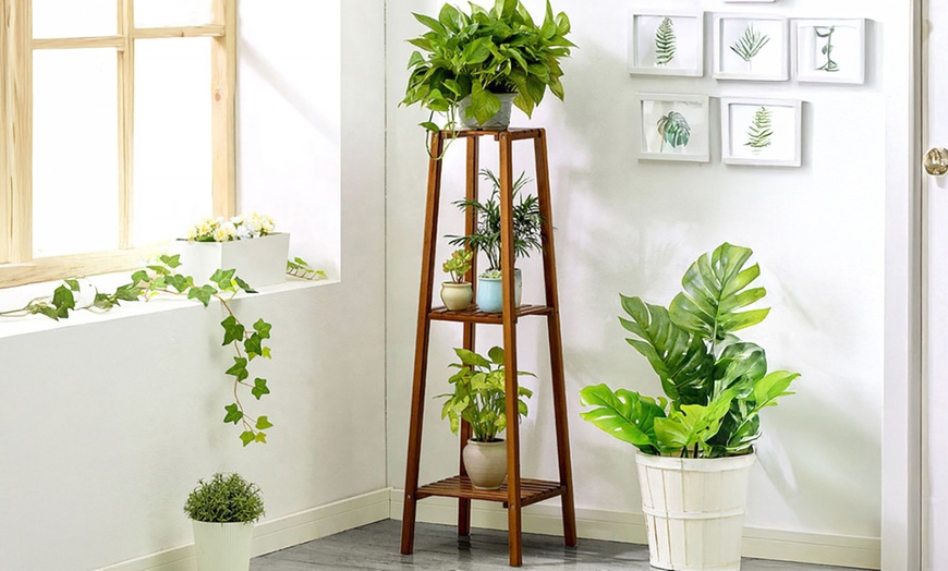Image 3: Brown Multi-Tier Wooden Plant Stand