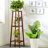 Image 3: Brown Multi-Tier Wooden Plant Stand
