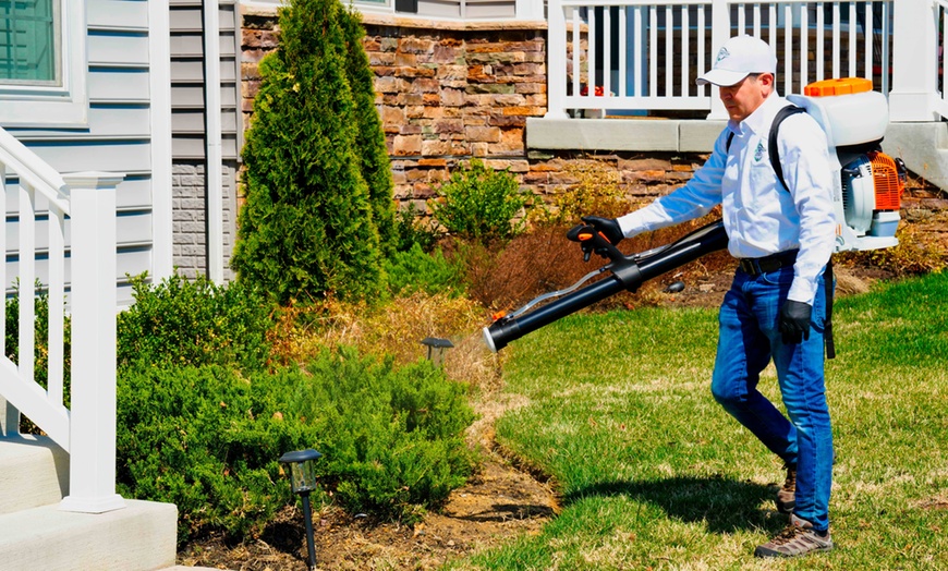 Image 1: Interior & Exterior Pest Control w/ or w/o Mosquito Misting