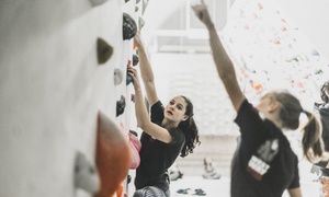 90-Minute Indoor Rope Climbing & Bouldering