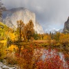 Image 1: Member-Only Deal: Yosemite Gateway Resort + Pools & Outdoor Adventures