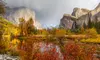 Hotel Stay at Tenaya Lodge at Yosemite in Fish Camp, CA. A Mountain Resort Just Minutes From Yosemite’s South Entrance.