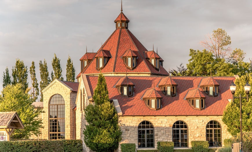 Image 3: Full Day Niagara Wine Tour with Transportation for Up To Four People