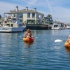 Image 5: Explore Huntington Beach with Kayaking Tours for Kids and Adults 
