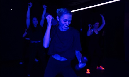 1 session (14 crédits) de Decibel à Beaubourg - DECIBEL