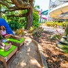 Image 8: Save 56% on Adventure Island Tickets!