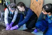 Explore Marine Mammal Rescue: Admissions & Guided Tours For 1, 2, or 4 (Up to 48% Off) - Second Medium