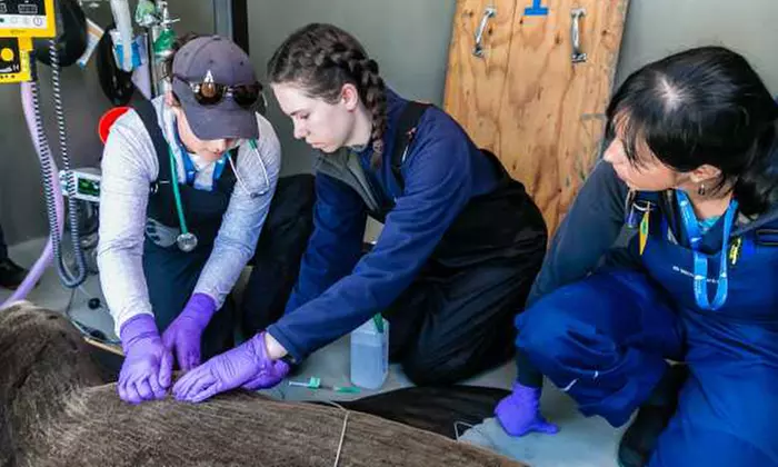 Explore Marine Mammal Rescue: Admissions & Guided Tours For 1, 2, or 4