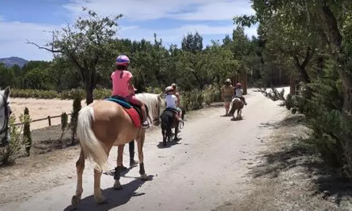 54% de dto. en Equitación - Actividad recreativa en MAIGMO