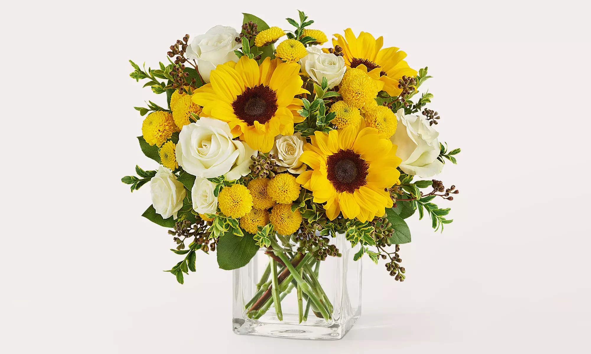 ProFlowers Same Day Vibrant Summer Flower Bouquets Up to 18% Off 