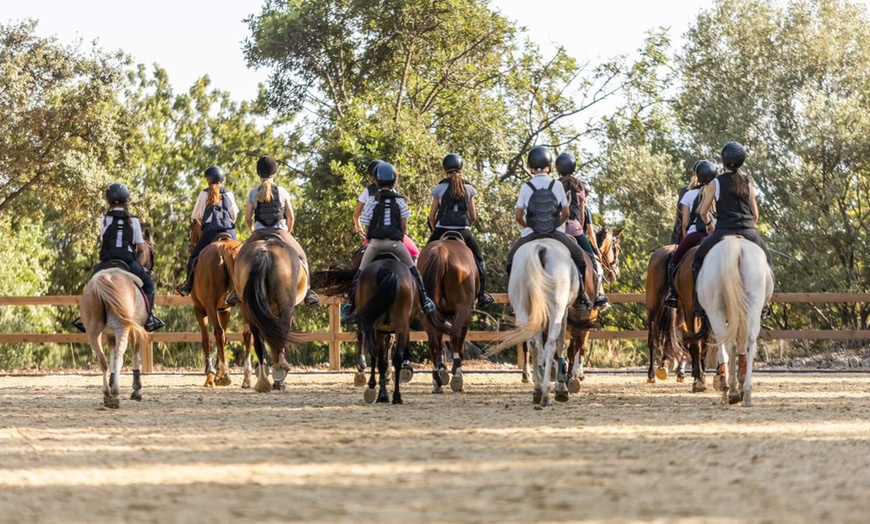 Image 1: Paseo a caballo y visita a finca mallorquina para 1 o 2 personas