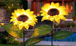 Four Solar Sunflower LED Lights