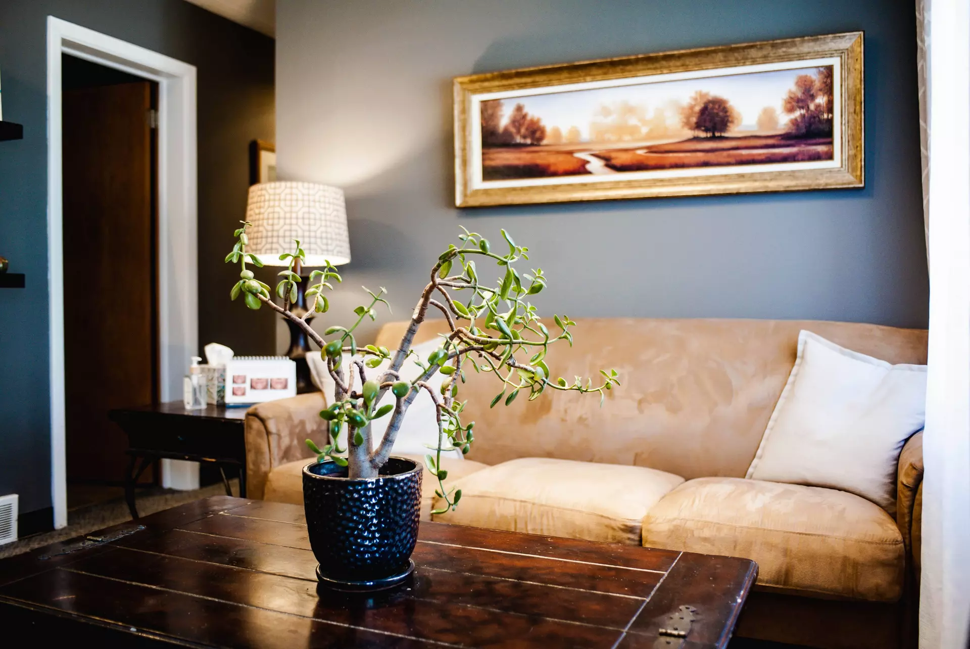 ONLY Genuine BOTOX® 20, 40, or 60 Units!