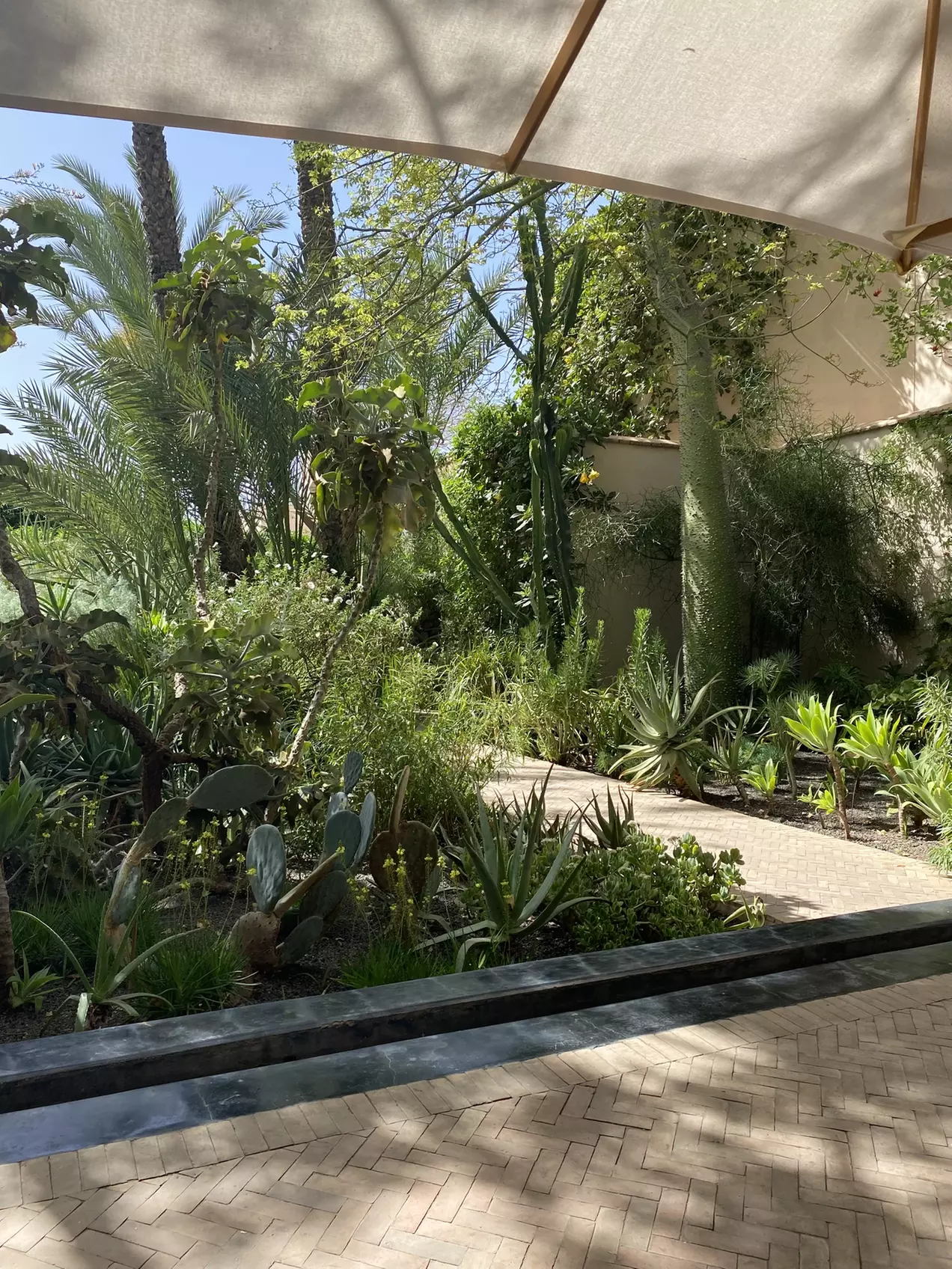 ✈ Moroccan Adventure: Road Trip with Flights, Car & Stay